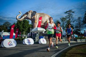 BIB: 
                            <button type="button" onclick="openModal(26541582)" class="btn btn-primary btn-sm float-right btn-popup" data-toggle="modal" data-target=".modal-high-quality">
                        <i class="fas fa-shopping-cart"></i> Add to Cart
                    </button>
                                            <button type="button" onclick="isThisMe(26541582, true)" class="btn btn-success btn-sm float-right btn-popup btn-isme hidden" data-toggle="tooltip" data-placement="bottom" title="นี่คือรูปของคุณใช่ไหม คลิกที่นี่เพื่อเอาเข้าอัลบั้ม">
                        <i class="fas fa-plus"></i> Add to album
                    </button>
                    <button type="button" onclick="isThisMe(26541582, false)" class="btn btn-warning btn-sm float-right btn-popup btn-isnotme hidden">
                        <i class="fas fa-ban"></i> Remove from album
                    </button>